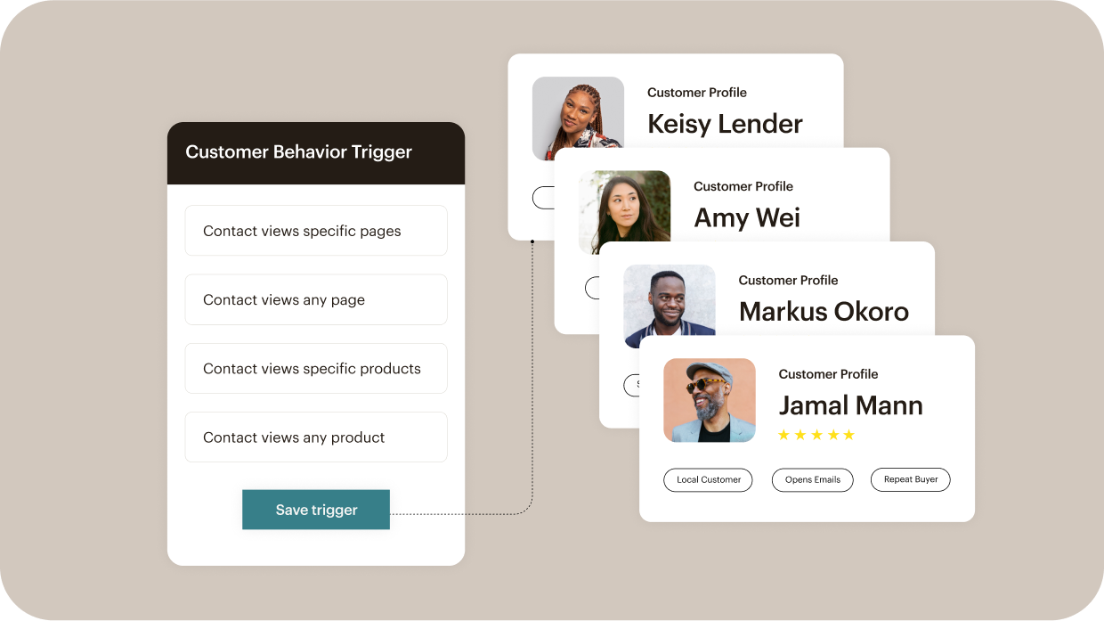Dashboard displaying customer profiles and Mailchimp’s audience segmentation tools for marketing campaigns.